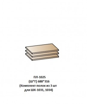 ПЛ-1025 (Комплект полок из 3 шт для ШК-1031, 1034) в Белоярском (ХМАО) - beloiarskii.ok-mebel.com | фото