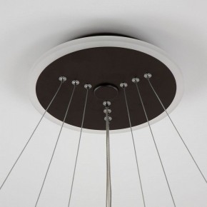 Подвесная люстра Citilux Неон Смарт CL731A095E в Белоярском (ХМАО) - beloiarskii.ok-mebel.com | фото 16