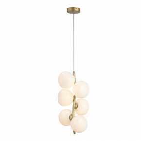Подвесная люстра ST-Luce Sweven SL1519.303.06 в Белоярском (ХМАО) - beloiarskii.ok-mebel.com | фото 4