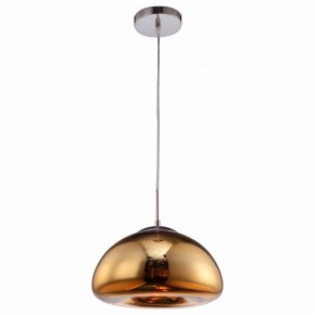 Подвесной светильник Arte Lamp Swift A8041SP-1GO в Белоярском (ХМАО) - beloiarskii.ok-mebel.com | фото 2
