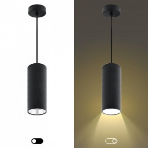 Подвесной светильник Эра  PL12 GX53 BK/SL в Белоярском (ХМАО) - beloiarskii.ok-mebel.com | фото 5