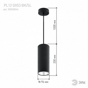 Подвесной светильник Эра  PL12 GX53 BK/SL в Белоярском (ХМАО) - beloiarskii.ok-mebel.com | фото 8