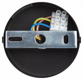Подвесной светильник Эра  PL12 GX53 BK/SL в Белоярском (ХМАО) - beloiarskii.ok-mebel.com | фото 9