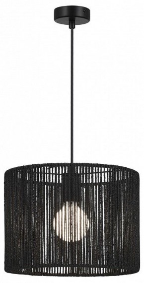 Подвесной светильник EVOLUCE ETTAN SLE6024-403-01 в Белоярском (ХМАО) - beloiarskii.ok-mebel.com | фото 2