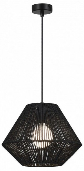 Подвесной светильник EVOLUCE ETTAN SLE6025-403-01 в Белоярском (ХМАО) - beloiarskii.ok-mebel.com | фото 2