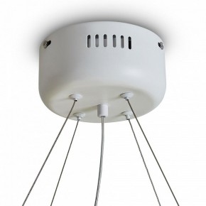 Подвесной светильник Freya Rain FR5546PL-L60W в Белоярском (ХМАО) - beloiarskii.ok-mebel.com | фото 9