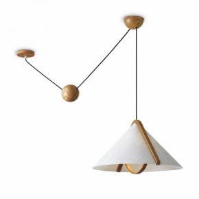 Подвесной светильник Freya Umbra FR5554CL-01T в Белоярском (ХМАО) - beloiarskii.ok-mebel.com | фото 2
