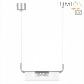 Подвесной светильник Lumion TORONTO 8258/2 в Белоярском (ХМАО) - beloiarskii.ok-mebel.com | фото 4