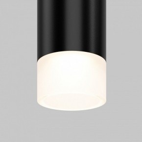 Подвесной светильник Maytoni Skim TR191-1-3W4K-M-B в Белоярском (ХМАО) - beloiarskii.ok-mebel.com | фото 2