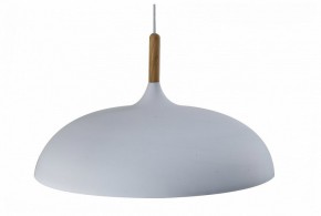 Подвесной светильник Moderli Hygo V11447-1P в Белоярском (ХМАО) - beloiarskii.ok-mebel.com | фото