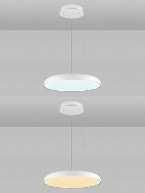 Подвесной светильник Natali Kovaltseva  INNOVATION STYLE 83137 в Белоярском (ХМАО) - beloiarskii.ok-mebel.com | фото 5