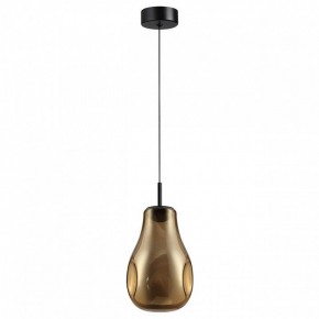 Подвесной светильник Odeon Light Nave 5098/4LA в Белоярском (ХМАО) - beloiarskii.ok-mebel.com | фото 4