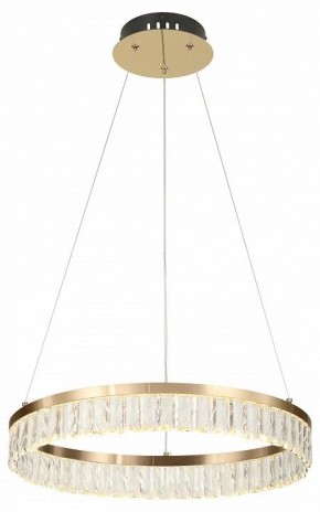 Подвесной светильник Rivoli Erika Б0061968 в Белоярском (ХМАО) - beloiarskii.ok-mebel.com | фото 6
