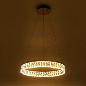 Подвесной светильник Rivoli Erika Б0061968 в Белоярском (ХМАО) - beloiarskii.ok-mebel.com | фото 7