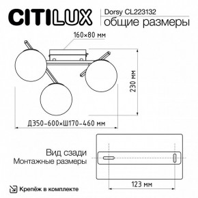 Потолочная люстра Citilux Dorsy CL223132 в Белоярском (ХМАО) - beloiarskii.ok-mebel.com | фото 12