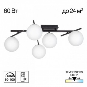 Потолочная люстра Citilux Dorsy CL223152 в Белоярском (ХМАО) - beloiarskii.ok-mebel.com | фото 2