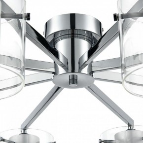 Потолочная люстра Lumion VERDI 8261/8C в Белоярском (ХМАО) - beloiarskii.ok-mebel.com | фото 8