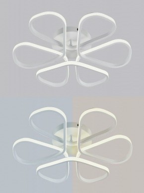 Потолочная люстра Natali Kovaltseva COBRA LED LAMPS 81121/7C в Белоярском (ХМАО) - beloiarskii.ok-mebel.com | фото 6