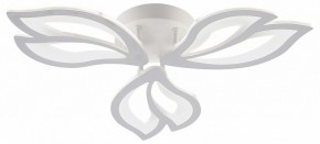 Потолочная люстра Natali Kovaltseva FORTUNA LED LAMPS 81107/2C в Белоярском (ХМАО) - beloiarskii.ok-mebel.com | фото