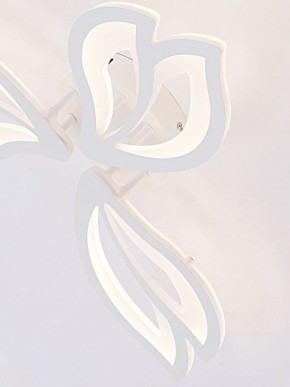 Потолочная люстра Natali Kovaltseva FORTUNA LED LAMPS 81107/2C в Белоярском (ХМАО) - beloiarskii.ok-mebel.com | фото 11