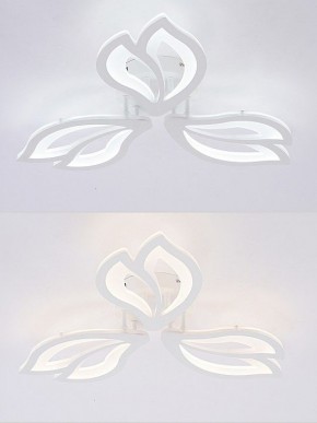 Потолочная люстра Natali Kovaltseva FORTUNA LED LAMPS 81107/2C в Белоярском (ХМАО) - beloiarskii.ok-mebel.com | фото 4