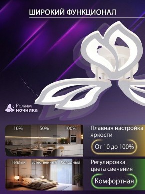 Потолочная люстра Natali Kovaltseva FORTUNA LED LAMPS 81107/2C в Белоярском (ХМАО) - beloiarskii.ok-mebel.com | фото 5