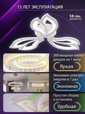 Потолочная люстра Natali Kovaltseva FORTUNA LED LAMPS 81107/2C в Белоярском (ХМАО) - beloiarskii.ok-mebel.com | фото 6