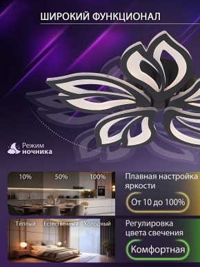 Потолочная люстра Natali Kovaltseva FORTUNA LED LAMPS 81107/5C в Белоярском (ХМАО) - beloiarskii.ok-mebel.com | фото 6