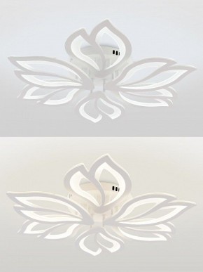 Потолочная люстра Natali Kovaltseva FORTUNA LED LAMPS 81107/6C в Белоярском (ХМАО) - beloiarskii.ok-mebel.com | фото 4