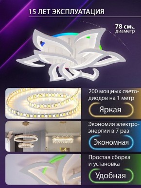 Потолочная люстра Natali Kovaltseva OLIMP LED LAMPS 81435 в Белоярском (ХМАО) - beloiarskii.ok-mebel.com | фото 5