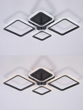 Потолочная люстра Natali Kovaltseva OPTI LED LAMPS 81108/2C в Белоярском (ХМАО) - beloiarskii.ok-mebel.com | фото 4