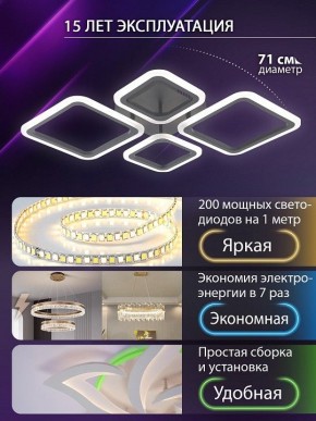 Потолочная люстра Natali Kovaltseva OPTI LED LAMPS 81108/2C в Белоярском (ХМАО) - beloiarskii.ok-mebel.com | фото 5