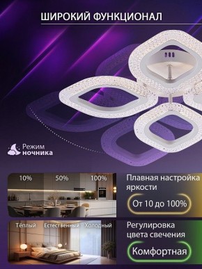 Потолочная люстра Natali Kovaltseva SM LED LAMPS 81455 в Белоярском (ХМАО) - beloiarskii.ok-mebel.com | фото 6