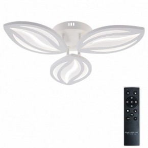 Потолочная люстра Natali Kovaltseva SM LED LAMPS 81456 в Белоярском (ХМАО) - beloiarskii.ok-mebel.com | фото 2