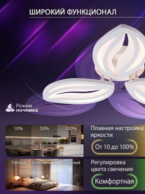 Потолочная люстра Natali Kovaltseva SM LED LAMPS 81456 в Белоярском (ХМАО) - beloiarskii.ok-mebel.com | фото 6