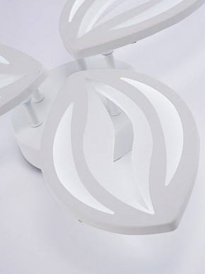 Потолочная люстра Natali Kovaltseva SM LED LAMPS 81456 в Белоярском (ХМАО) - beloiarskii.ok-mebel.com | фото 8