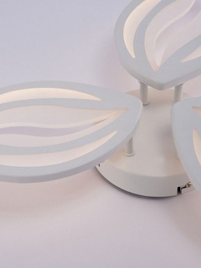 Потолочная люстра Natali Kovaltseva SM LED LAMPS 81456 в Белоярском (ХМАО) - beloiarskii.ok-mebel.com | фото 9