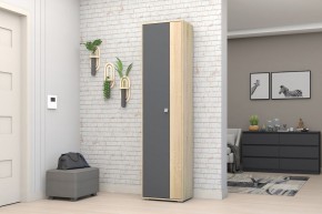 Прихожая Монако-2 (Дуб Сонома/Графит) в Белоярском (ХМАО) - beloiarskii.ok-mebel.com | фото 11