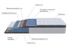 PROxSON Матрас Active Duo M/F (Ткань Трикотаж Эко) 120x200 в Белоярском (ХМАО) - beloiarskii.ok-mebel.com | фото 7