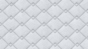 PROxSON Матрас Standart Plus M (Ткань Жаккард) 160x190 в Белоярском (ХМАО) - beloiarskii.ok-mebel.com | фото 9