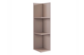 РИЧ Полка навесная 2 (кашемир) в Белоярском (ХМАО) - beloiarskii.ok-mebel.com | фото 4