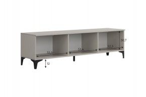 РИЧ Тумба 2 в Белоярском (ХМАО) - beloiarskii.ok-mebel.com | фото 3