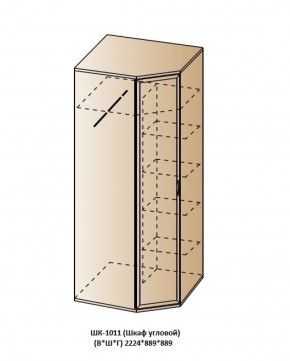 ШК-1011 (Шкаф угловой) в Белоярском (ХМАО) - beloiarskii.ok-mebel.com | фото