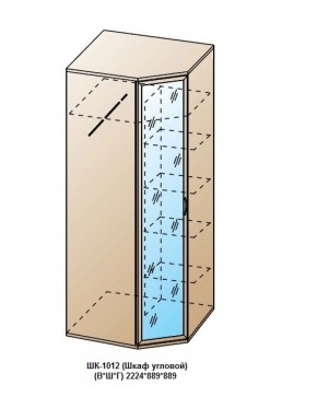 ШК-1012 (Шкаф угловой) в Белоярском (ХМАО) - beloiarskii.ok-mebel.com | фото