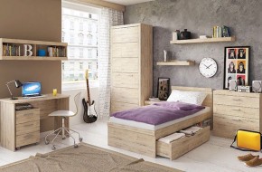 Шкаф 2D OSKAR , цвет дуб Санремо в Белоярском (ХМАО) - beloiarskii.ok-mebel.com | фото 5