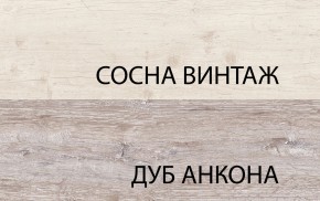 Шкаф 2D1S, MONAKO, цвет Сосна винтаж/дуб анкона в Белоярском (ХМАО) - beloiarskii.ok-mebel.com | фото