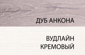 Шкаф 2DG, OLIVIA, цвет вудлайн крем/дуб анкона в Белоярском (ХМАО) - beloiarskii.ok-mebel.com | фото 3