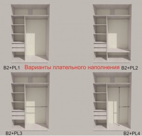 Шкаф-купе 1700 серии SILVER S4+S3Z+B2+PL1 (2 ящика+1 штанга) профиль «Серебро» в Белоярском (ХМАО) - beloiarskii.ok-mebel.com | фото 4