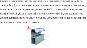 Шкаф-купе 1700 серии SILVER S4+S3Z+B2+PL1 (2 ящика+1 штанга) профиль «Серебро» в Белоярском (ХМАО) - beloiarskii.ok-mebel.com | фото 6