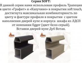 Шкаф-купе 1800 серии SOFT D1+D3+B2+PL1 (2 ящика+1штанга) профиль «Графит» в Белоярском (ХМАО) - beloiarskii.ok-mebel.com | фото 11